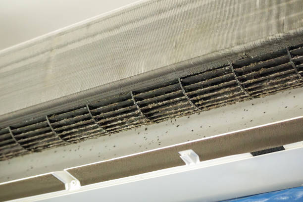 Best Ductwork Cleaning Services  in Monona, WI